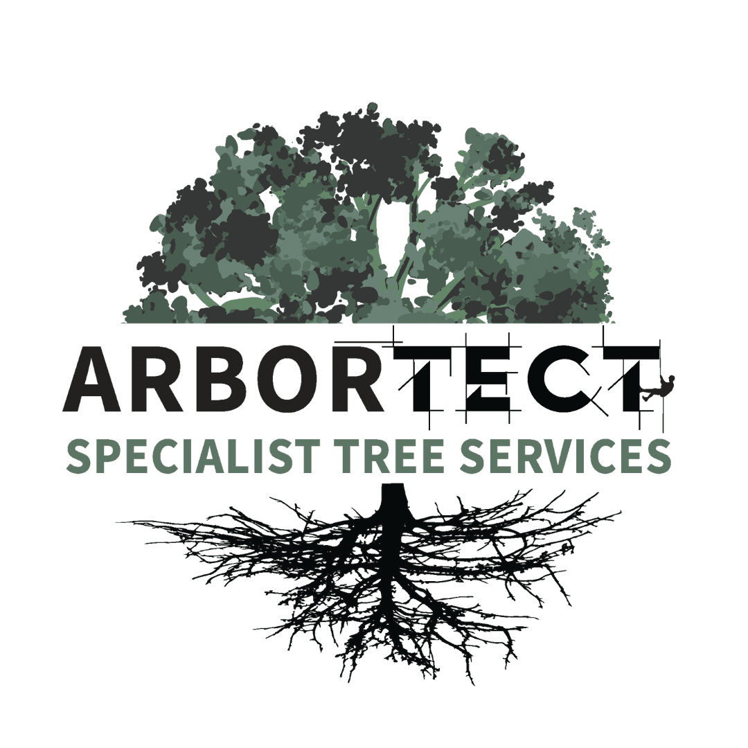 arbortect.au